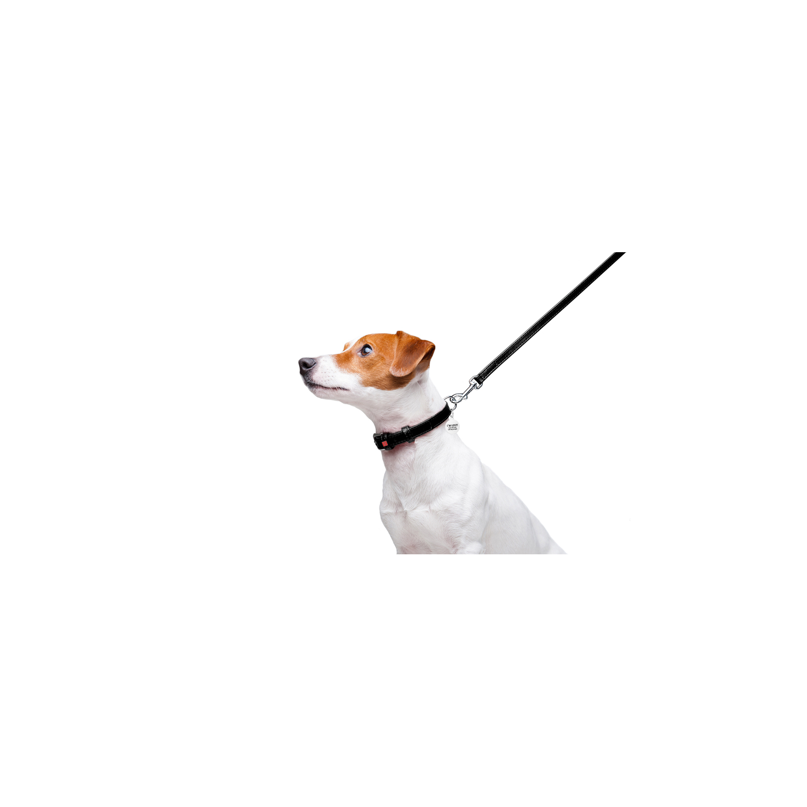 Повідок для собак WAUDOG Glamour шкіряний XS помаранчевий (33724) зображення 5
