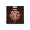 Струны для гитары D'Addario Nickel Bronze Light (12-53) (NB1253)