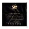 Струны для гитары Framus Phosphor Bronze Light 12-String (10-47) (47240 12S)