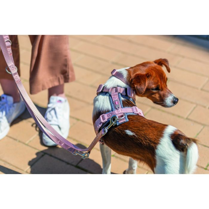 Шлея для собак Trixie Premium Трекінгова M 53-64 см 20 мм Рожево-сіра (4053032678910) зображення 2
