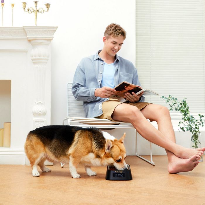 Універсальний посуд для тварин Pawbby Smart Pet Bowl (MG-ZN001-EU) зображення 7