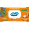 Туалетная бумага Smile Classic For Kids & Juniors Влажная 40 шт. (4823071668827)