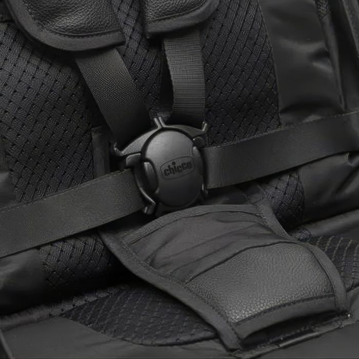 Коляска Chicco Goody Primo Stroller (87069.31) изображение 4