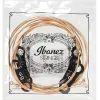 Струны для гитары Ibanez IACSP6C Acoustic Guitar Strings 12-53 (301877) изображение 3