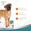 Вітаміни для собак 8in1 Excel Glucosamine + MSM для суглобів 55 шт (4048422184157) зображення 10