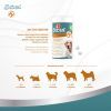 Вітаміни для собак 8in1 Excel Glucosamine + MSM для суглобів 55 шт (4048422184157) зображення 4