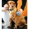 Гребінець для тварин Dexas BrushBuster блакитний (0084297309442) зображення 5