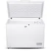 Морозильна скриня Beko CF316WN зображення 2