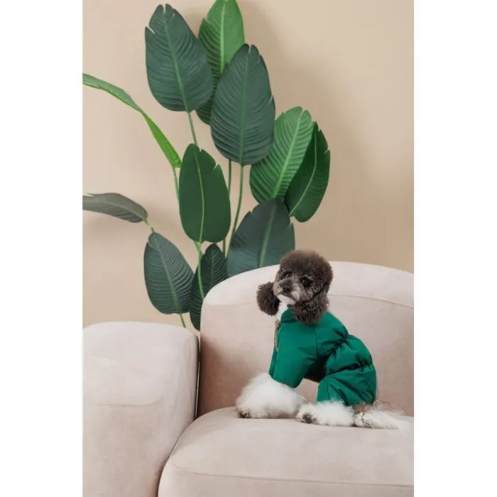 Комбінезон для тварин Pet Fashion EGO М2 зелений (4823082437740) зображення 9