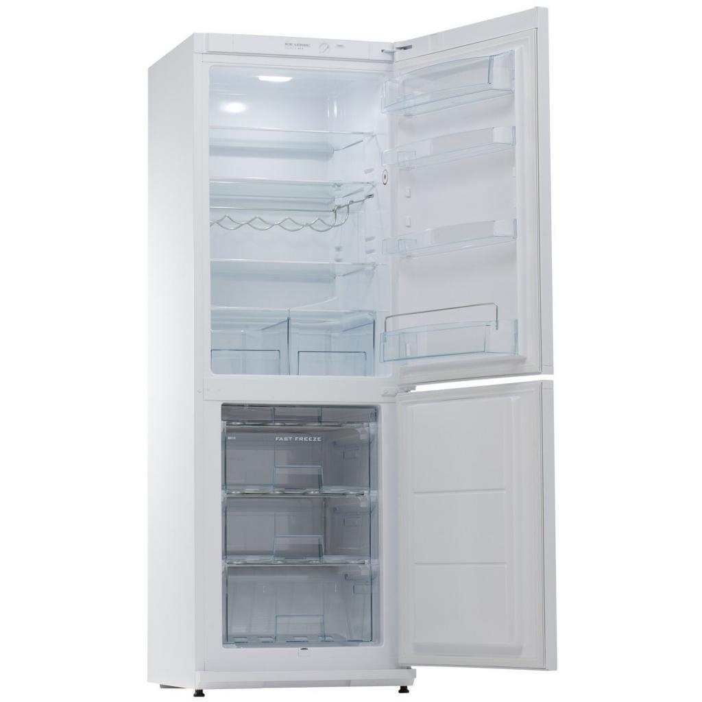 Холодильник Snaige RF31SM-S0002F изображение 2