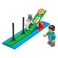 Конструктор LEGO Education BricQ Motion Essential S (45401) изображение 9