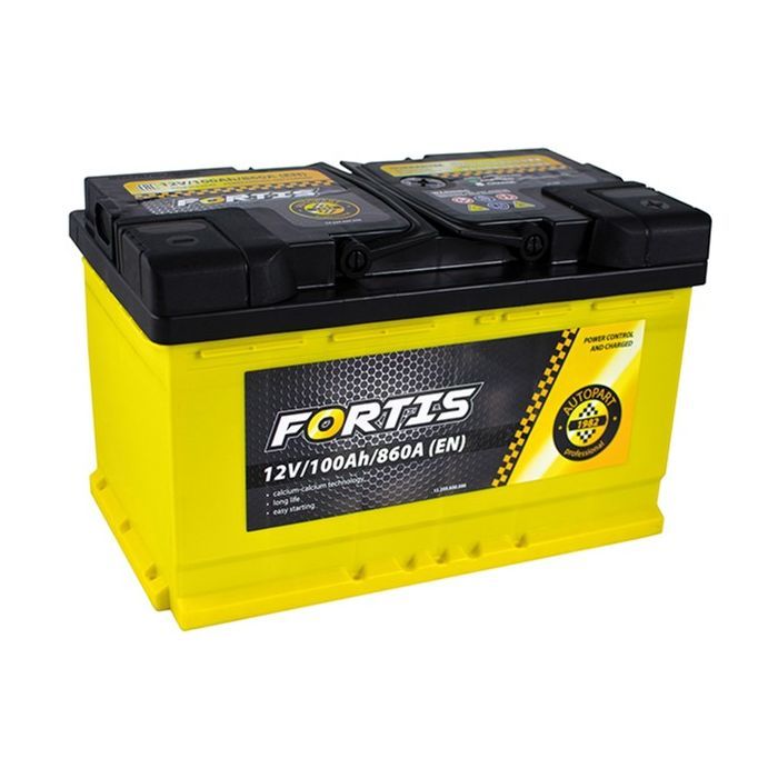 Акумулятор автомобільний FORTIS 100 Ah/12V Euro_L4 короткий (FRT100-L4-00)