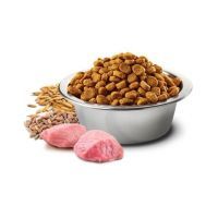 Сухой корм для кошек Farmina LOW GRAIN Sterilised курица, гранат 300 г (8010276030474) изображение 3