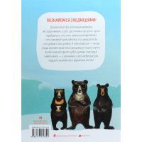 Книга Ведмежа книга - Кейті Віґґерс Жорж (9786177579624) зображення 2