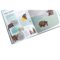 Книга Ведмежа книга - Кейті Віґґерс Жорж (9786177579624) зображення 6