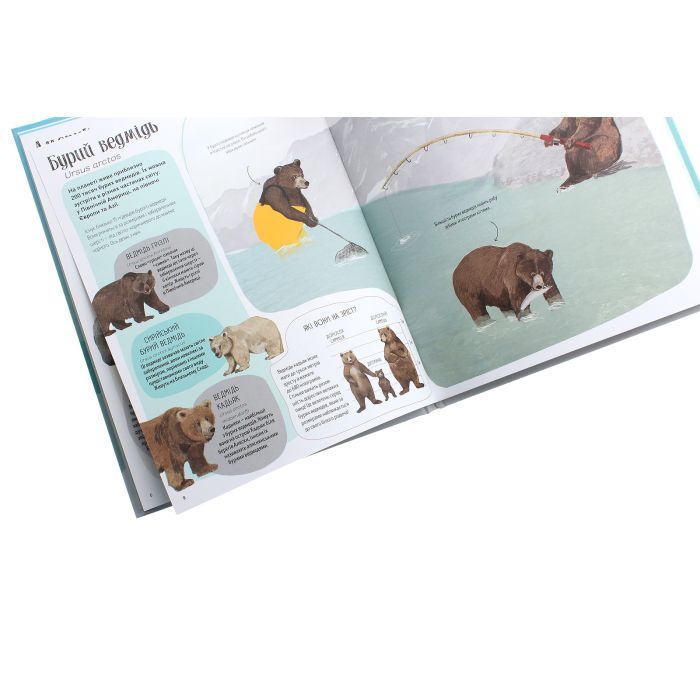 Книга Ведмежа книга - Кейті Віґґерс Жорж (9786177579624) зображення 6