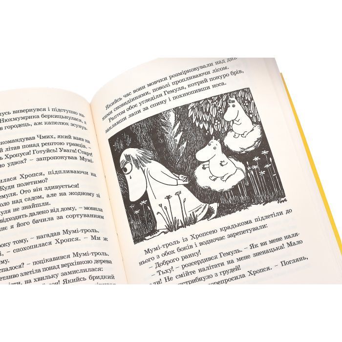 Книга Країна Мумі-тролів. Книга 1 - Туве Янссон Видавництво Старого Лева (9786176796466) изображение 6