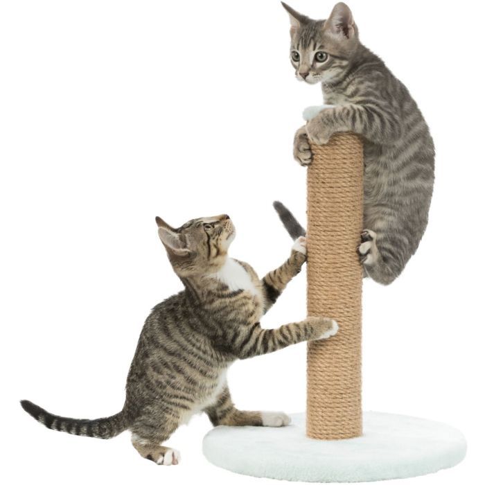 Дряпка (кігтеточка) для котів Trixie Junior Стовпчик 30х42 см м'ятна (4011905429328) зображення 4