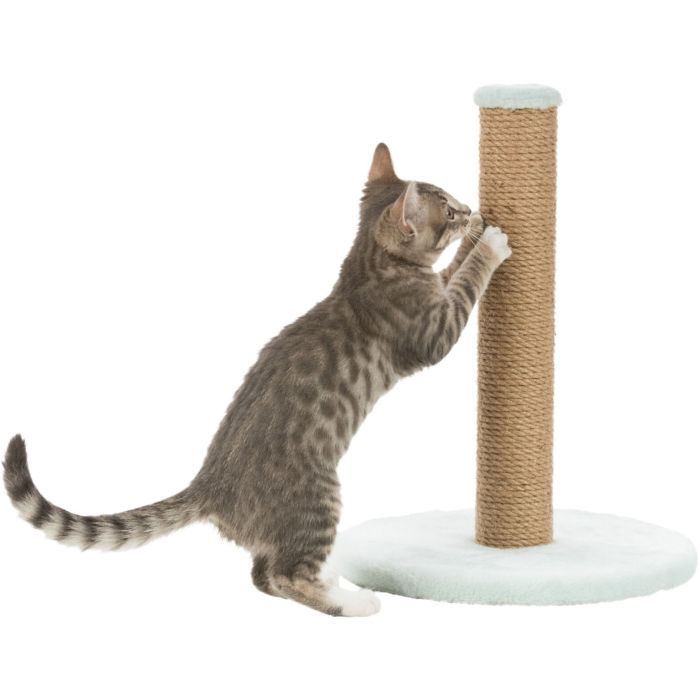 Дряпка (кігтеточка) для котів Trixie Junior Стовпчик 30х42 см м'ятна (4011905429328) зображення 5