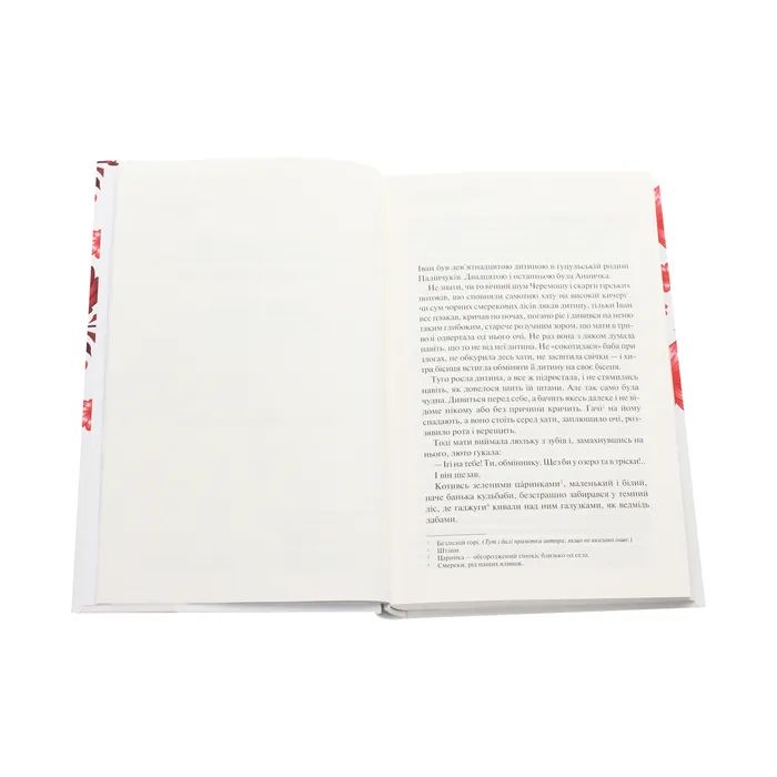Книга Тіні забутих предків - Михайло Коцюбинський КСД (9786171263031) зображення 4