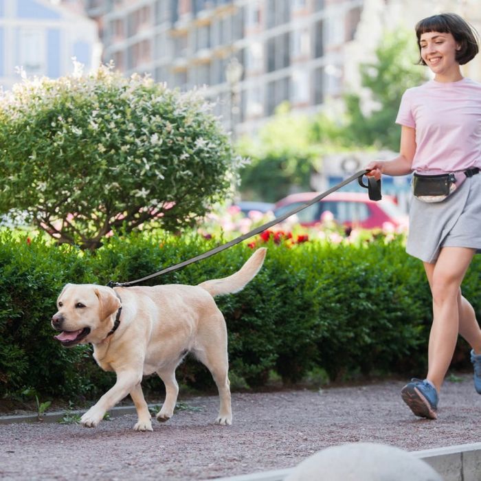 Повідець для собак Evolutor 120 см 25 мм жовтогарячий (42104) зображення 11