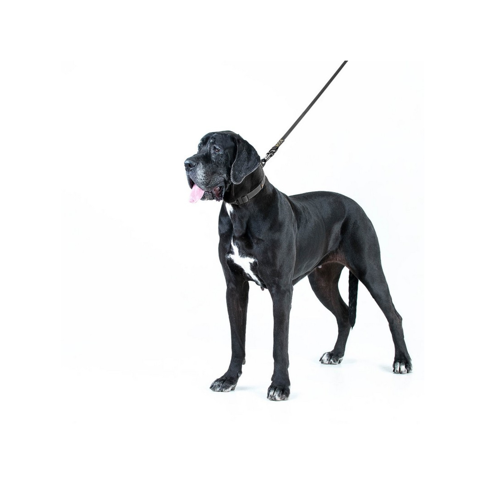 Поводок для собак Evolutor 120 см 25 мм черный (42101) изображение 8