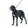 Повідок для собак Evolutor 120 см 25 мм чорний (42101) зображення 8
