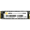 Накопитель SSD M.2 2280 256GB X500S ATRIA (ATNVMX500S/256)