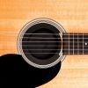 Супресор для гітари D'Addario Screeching Halt Soundhole Plug (PW-SH-01) зображення 2