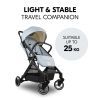 Коляска Hauck Travel N Care Simba (16032-9) изображение 7