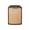 Комбоусилитель Ibanez Troubadour T80II (227262) изображение 2