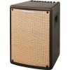 Комбоусилитель Ibanez Troubadour T80II (227262)
