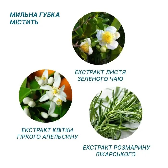 Одноразовий душ Estem Comfort Set 5шт (53-202-IS) зображення 4