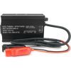 Мережевий зарядний пристрій для АКБ Voltronic LiFePo4 36V(43.8V), 12S, 6A (FY4386000-1) зображення 3