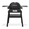 Гриль-барбекю Weber Q1200N з підставкою Black (1501085)