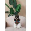 Свитер для животных Pet Fashion Happy S (4823082436118) изображение 8