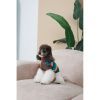 Свитер для животных Pet Fashion Happy S (4823082436118) изображение 9