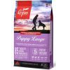 Сухий корм для собак Orijen Puppy Large Breed 11.4 кг (0064992181123)