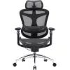 Офисное кресло Sihoo DORO C300 Pro Mesh Black (DORO-C300-PRO-M101) изображение 2
