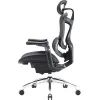 Офисное кресло Sihoo DORO C300 Pro Mesh Black (DORO-C300-PRO-M101) изображение 3