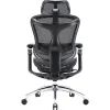 Офисное кресло Sihoo DORO C300 Pro Mesh Black (DORO-C300-PRO-M101) изображение 4