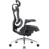 Офисное кресло Sihoo DORO C300 Pro Mesh Black (DORO-C300-PRO-M101) изображение 5