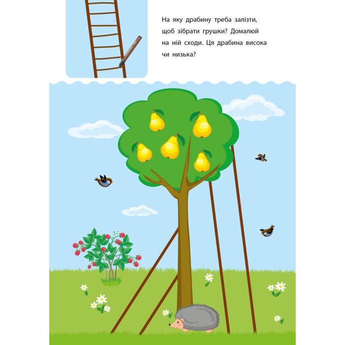 Книга Креативна навчалочка. 3-4 роки - Н.В. Мусієнко Активний розвиток талантів (9786170943873) изображение 7