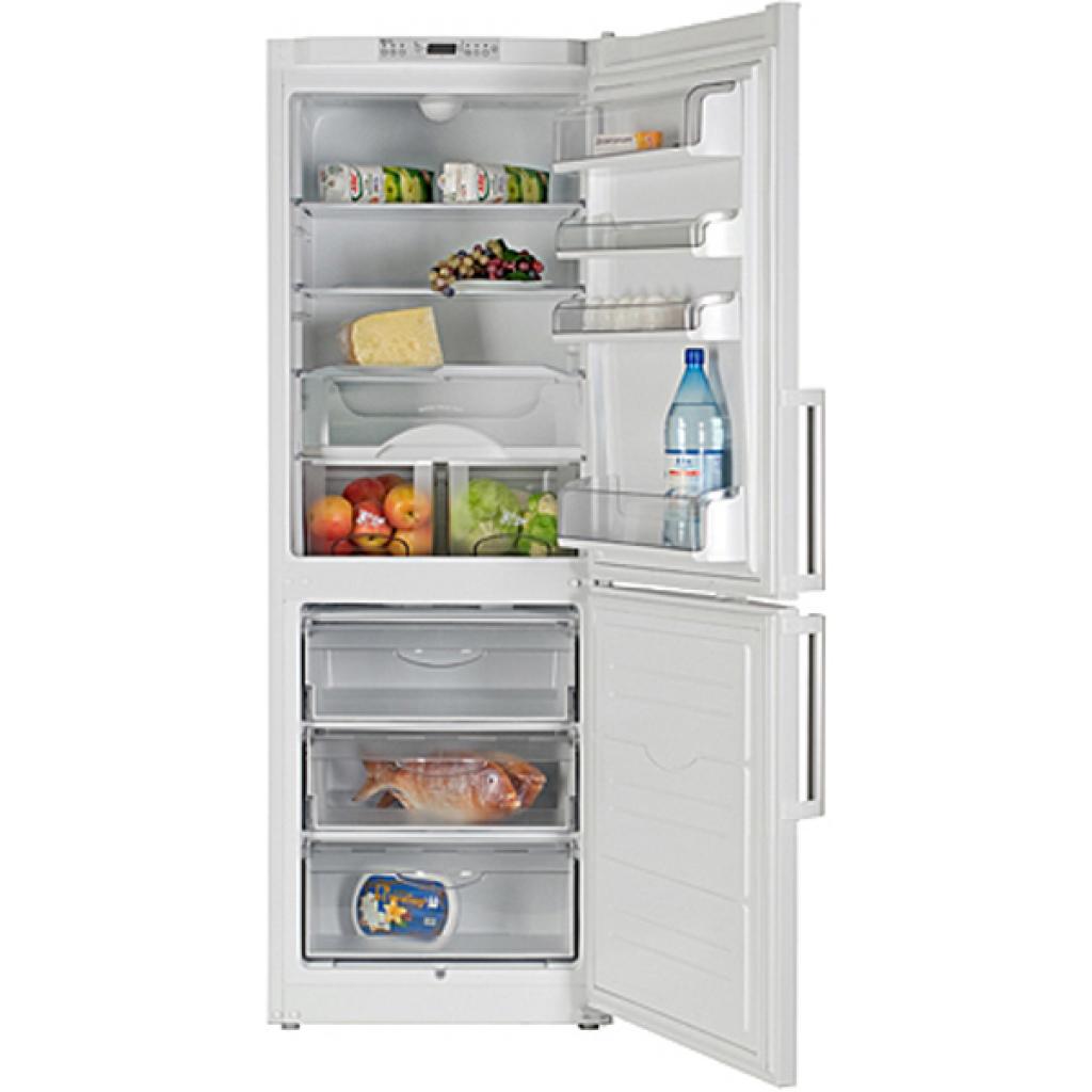 Холодильник Atlant XM 6321-101 (XM-6321-101) изображение 3