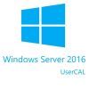 Программная продукция Microsoft WinSvrCAL 2016 SNGL OLP NL UsrCAL (R18-05123)