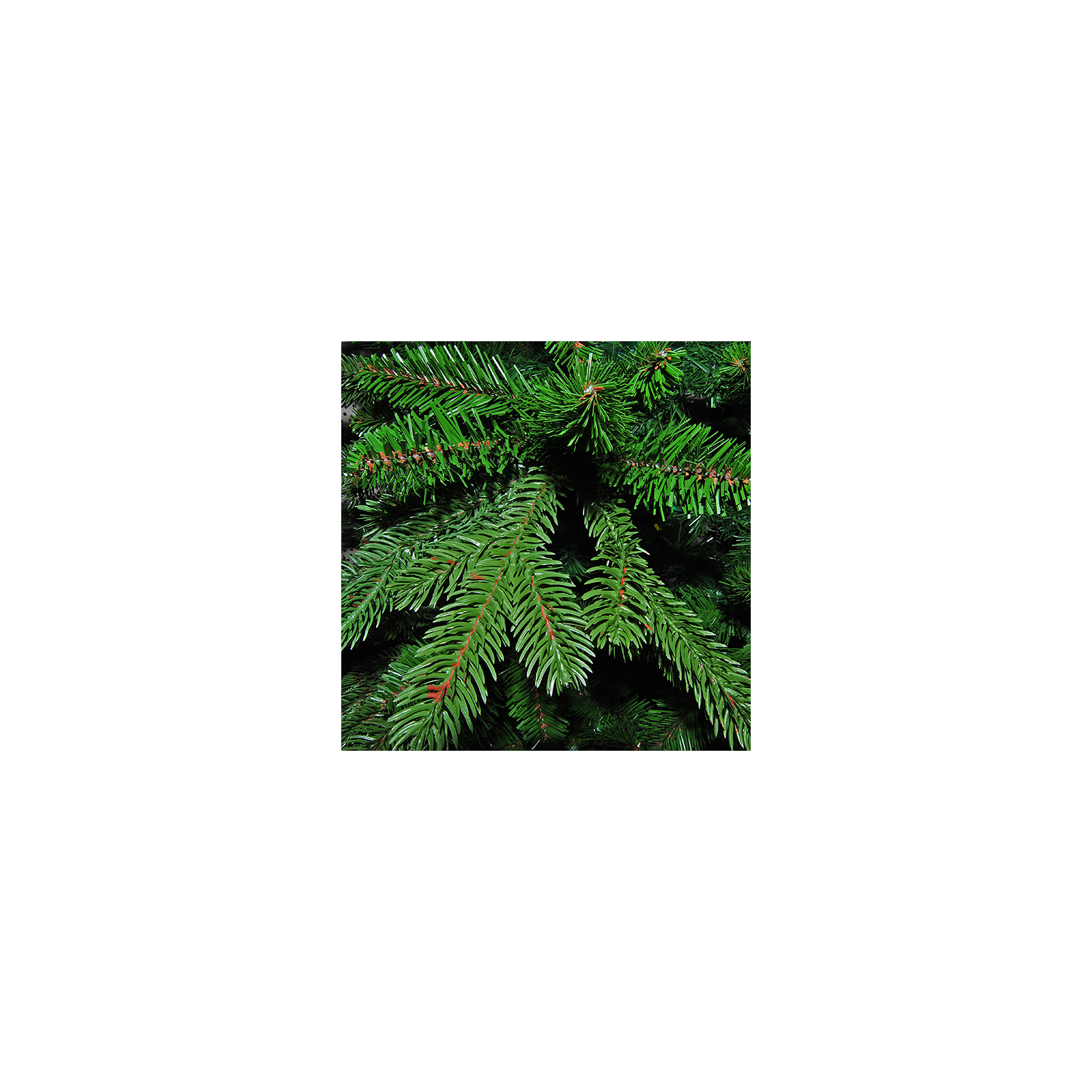 Искусственная сосна Triumph Tree Forest Frosted зеленая с инеем 3,05 м (8711473151534) изображение 2