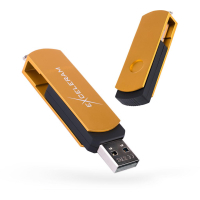 USB флеш накопитель eXceleram 8GB P2 Series Gold/Black USB 2.0 (EXP2U2GOB08)