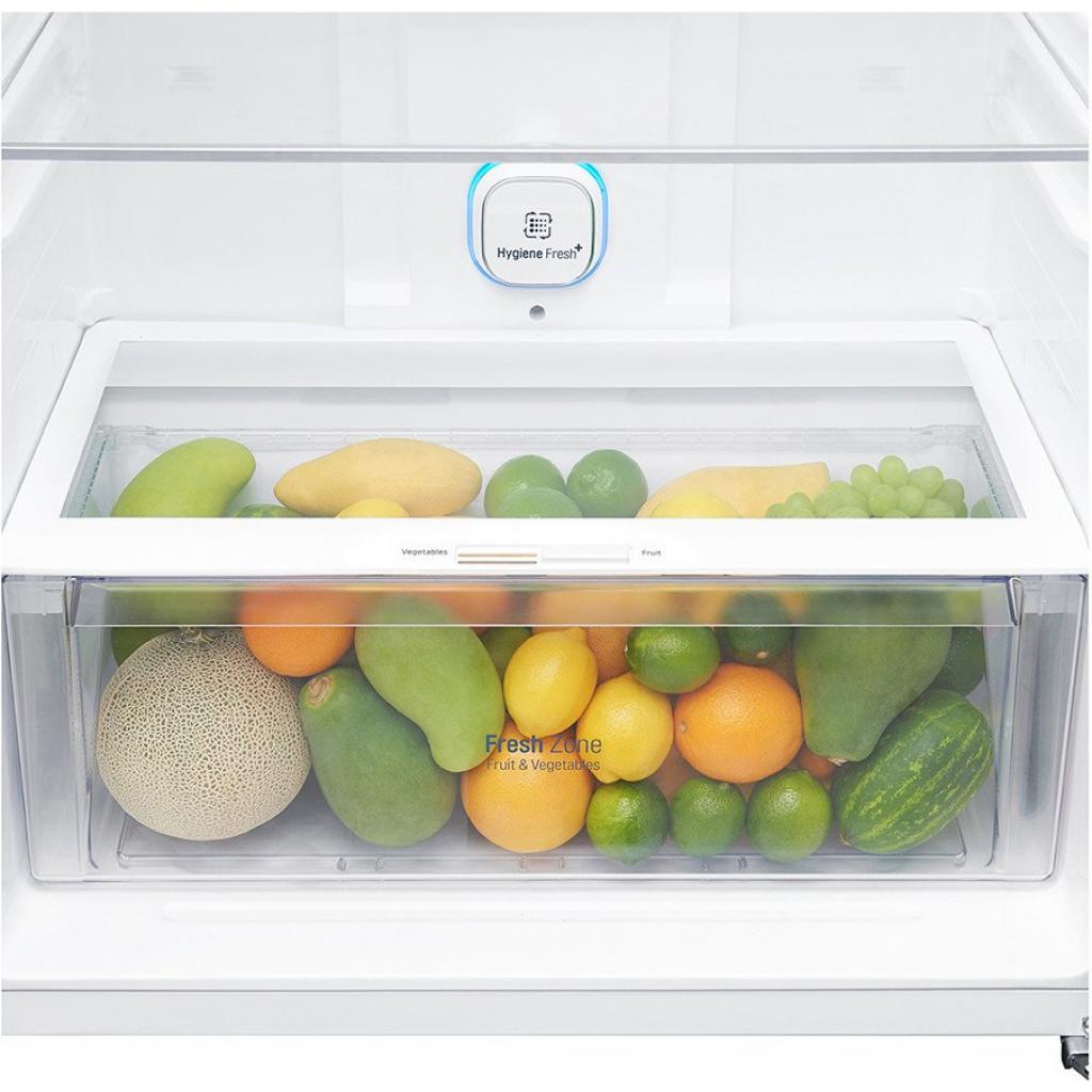 Холодильник LG GN-C702SGBM изображение 8