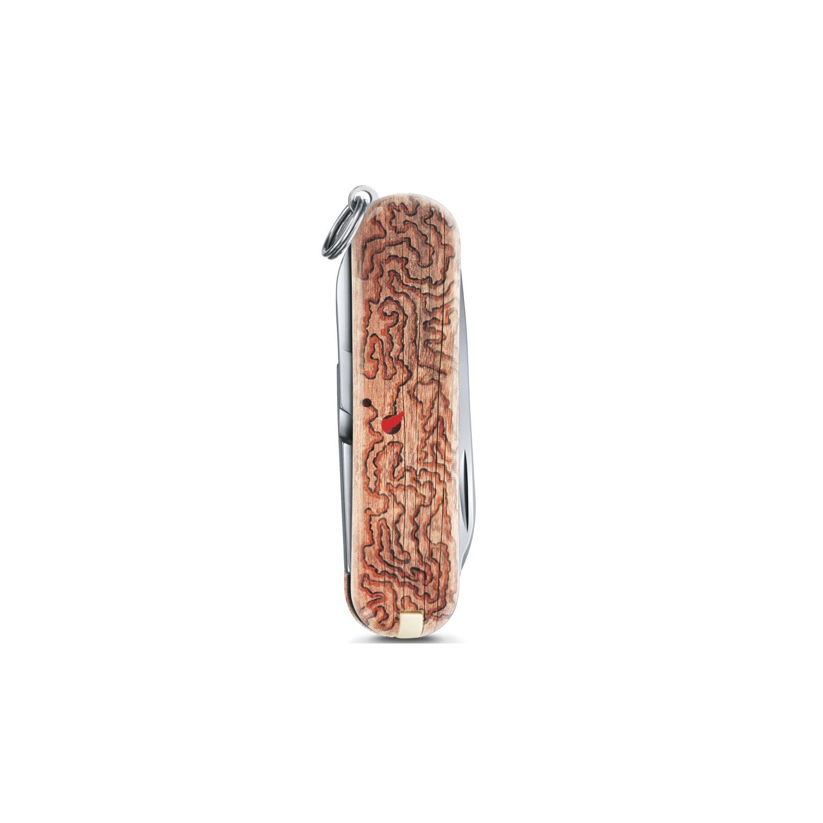 Нож Victorinox Сlassic "Woodworm" (0.6223.L1706) изображение 3