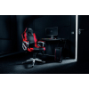 Кресло игровое Trust GXT705R Ryon Red (22256) изображение 8